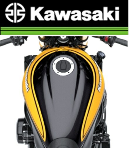 楽天市場】Kawasaki カワサキ 純正オプション メタリック ディアブロ