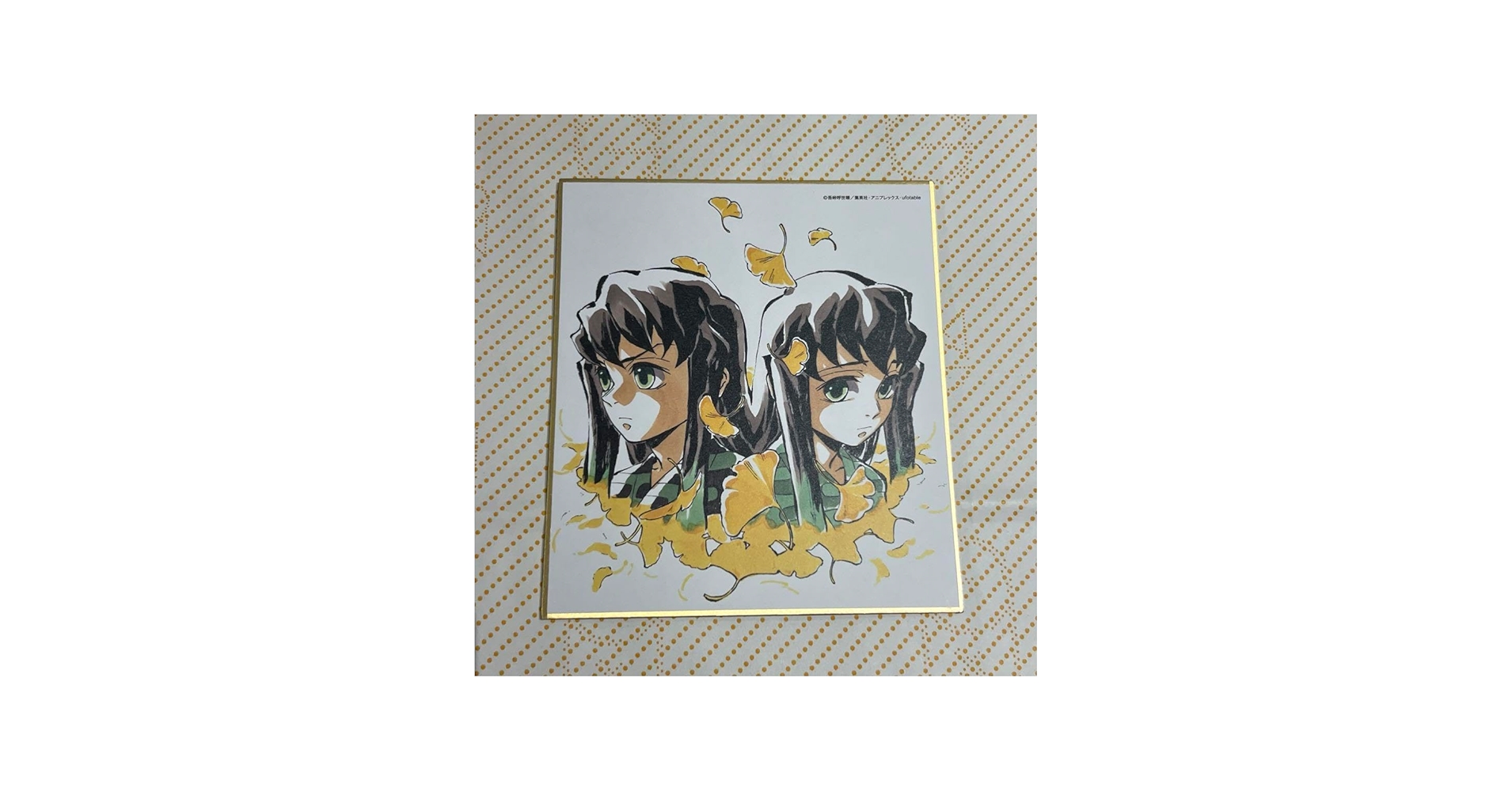 全集中展 時透無一郎 有一郎 色紙 鬼滅の刃 Amazon.co.jp: 鬼 滅 全集