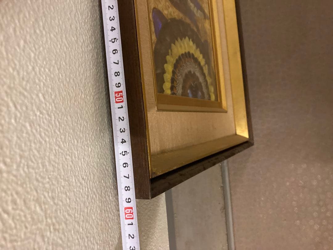 作者不明