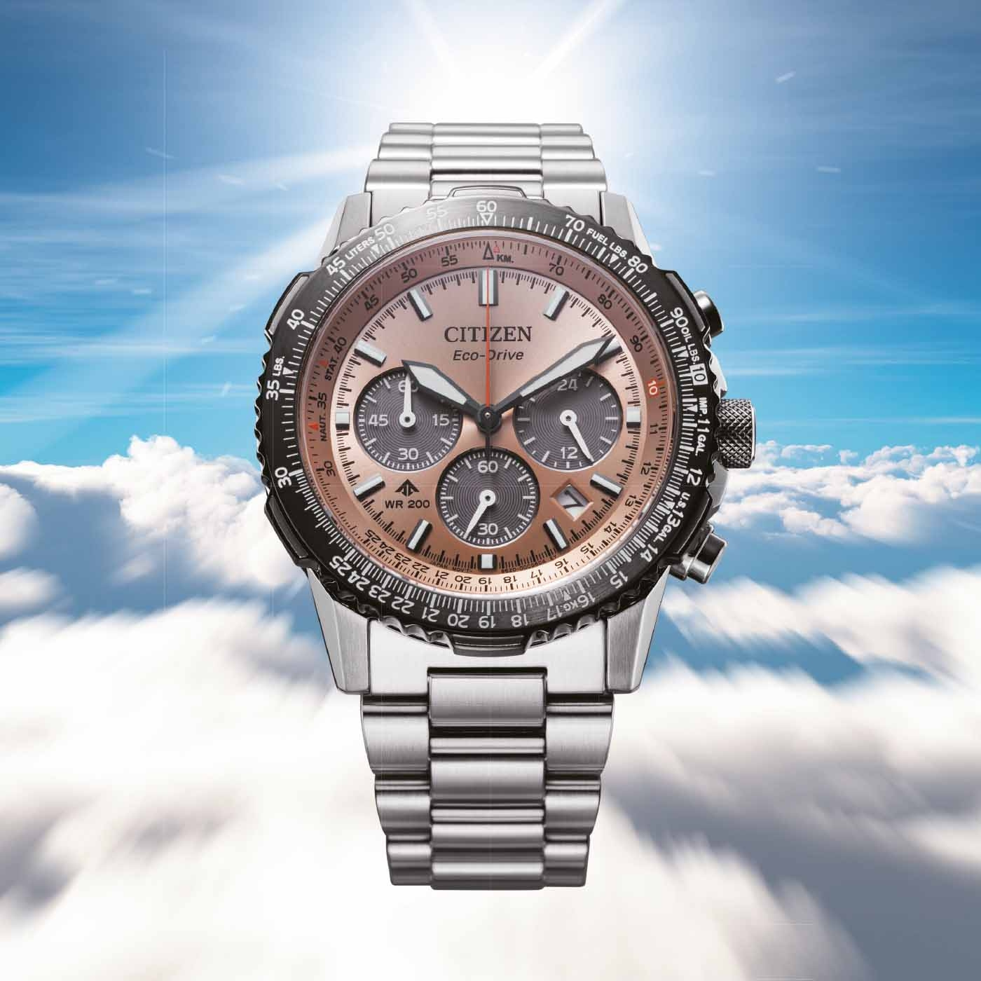 CA4664-60X Male Stainless steel brown ⌀ 40mm Citizen Onlineshop